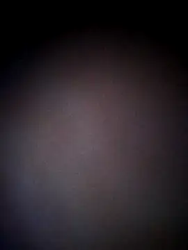 Snapshot of thehotlady chatting on October 2025 08:44:01 AM thehotlady online show from October 2025 08:44:01 AM