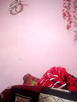 Snapshot of thehotlady chatting on November 2025 08:47:02 AM thehotlady online show from November 2025 08:47:02 AM