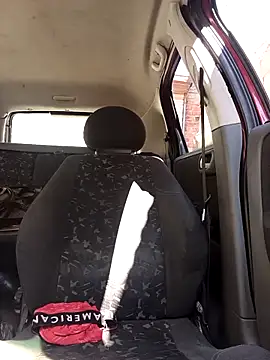 Snapshot of IssuedEcho chatting on February 2026 11:44:01 AM IssuedEcho online show from February 2026 11:44:01 AM