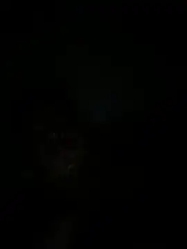 Snapshot of RangingWarranty chatting on October 2025 07:20:02 AM RangingWarranty online show from October 2025 07:20:02 AM