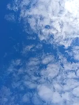 matatan0323 online show from April 2026 02:11:02 PM