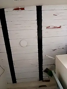 Snapshot of zamir_adam chatting on October 2025 01:26:02 PM zamir adam online show from October 2025 01:26:02 PM