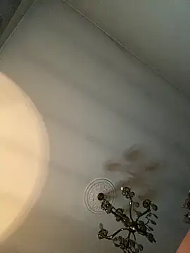 Snapshot of STRIPsegale chatting on February 2026 09:43:01 PM STRIPsegale online show from February 2026 09:43:01 PM