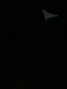Kalamsekh1234 online show from November 2025 01:17:01 AM