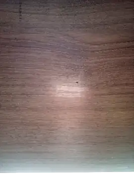 Snapshot of ValeriaLove43211 chatting on December 2025 07:36:01 AM ValeriaLove43211 online show from December 2025 07:36:01 AM