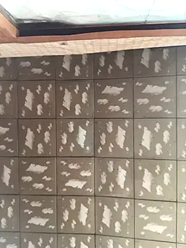 pualldu online show from November 2025 03:06:01 AM