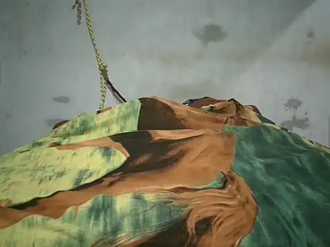 Snapshot of Alcee490 chatting on October 2025 03:17:02 AM Alcee490 online show from October 2025 03:17:02 AM