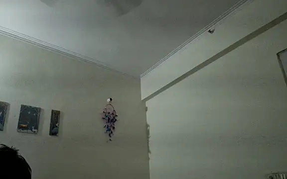 Snapshot of Aasmaan69Aranya chatting on April 2026 09:56:01 PM Aasmaan69Aranya online show from April 2026 09:56:01 PM