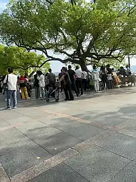 leeyoung  online show from April 2026 07:46:01 AM