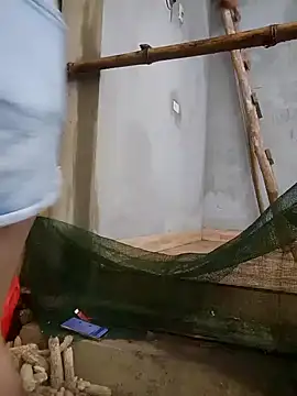 phuongxinhxan online show from March 2026 12:25:02 AM