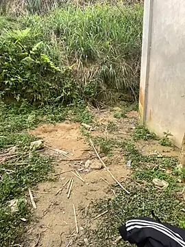 phuongxinhxan online show from March 2026 01:40:02 AM