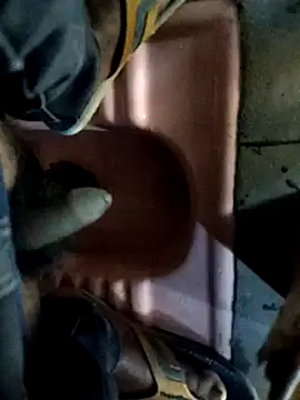 Mahadevm9 online show from March 2026 07:34:02 AM