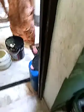 Cute-Charvii online show from March 2026 02:48:01 AM