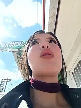 Snapshot of SALOME-28_ chatting on June 2026 02:29:02 PM SALOME-28 online show from June 2026 02:29:02 PM