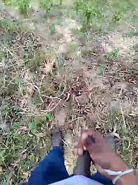 Snapshot of DICKLANKA chatting on September 2025 08:28:01 AM DICKLANKA online show from September 2025 08:28:01 AM