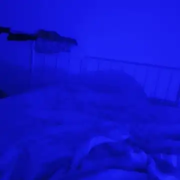 Geilerboy262 online show from November 2025 12:42:02 AM