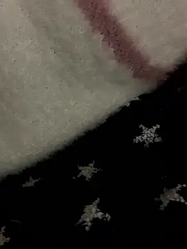 Snapshot of mj-story chatting on November 2025 04:40:01 PM mj-story online show from November 2025 04:40:01 PM