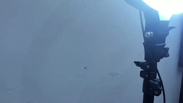 Snapshot of Kevinfox23cms chatting on November 2025 06:46:01 AM Kevinfox23cms online show from November 2025 06:46:01 AM