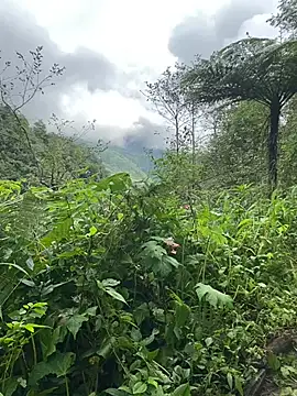 Snapshot of Penny39 chatting on October 2025 01:36:02 AM Penny39 online show from October 2025 01:36:02 AM