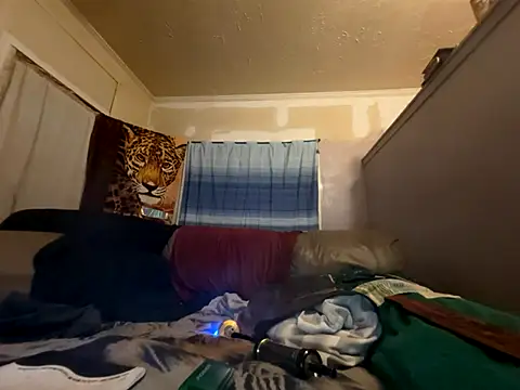 Snapshot of ThrowedWorldWide chatting on January 2026 05:43:02 AM ThrowedWorldWide online show from January 2026 05:43:02 AM