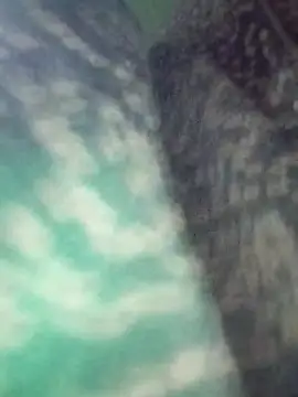 Snapshot of Na_shreya chatting on March 2026 12:21:01 AM Na shreya online show from March 2026 12:21:01 AM