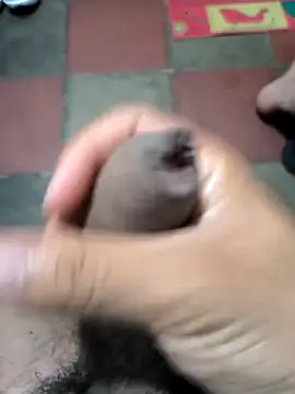 payolo online show from February 2026 01:40:02 AM