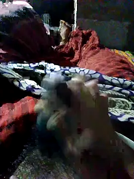 nagepalli online show from October 2025 05:02:02 PM