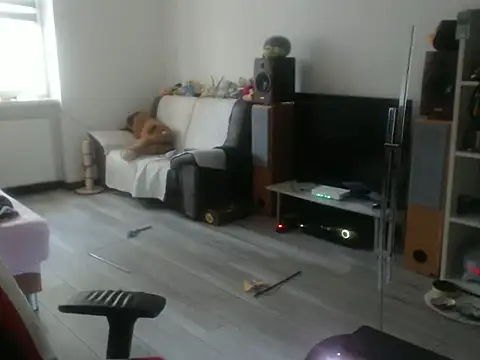 LoyalDoggie online show from June 2026 04:44:01 PM