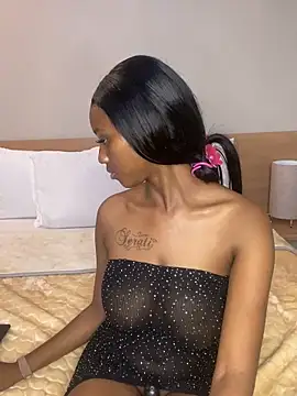 Sirah1 online show from October 2025 05:44:02 PM