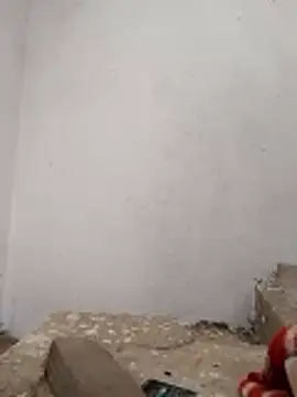 PEEHU-50 online show from November 2025 03:20:01 AM