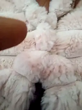 PEEHU-50 online show from January 2026 02:38:01 AM