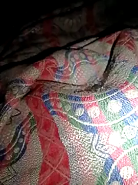 jerry 03467 online show from March 2026 07:18:02 PM