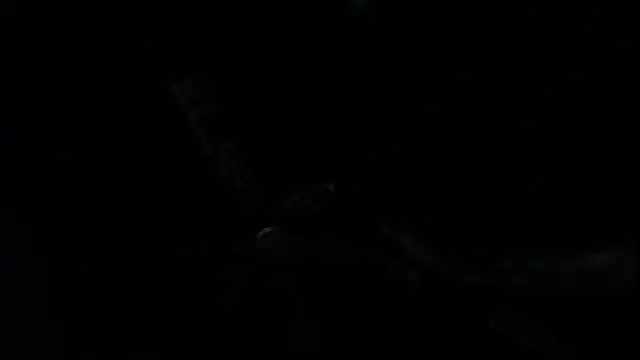 Snapshot of SteveDickson_ chatting on October 2025 09:15:01 PM SteveDickson online show from October 2025 09:15:01 PM