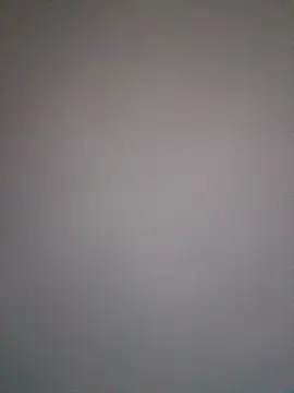 JNTre online show from February 2026 03:32:01 AM