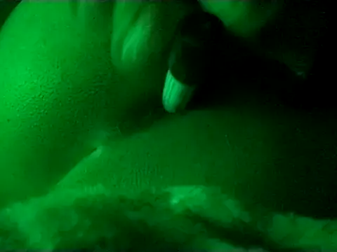 Buddha289 online show from November 2025 09:31:01 AM