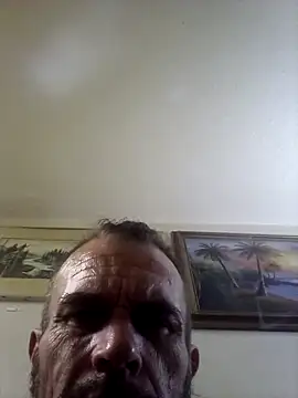 LetMeLiqU online show from July 2026 02:34:02 PM