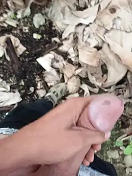 Sikici0734 online show from October 2025 04:43:02 AM