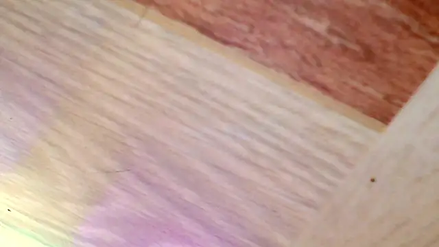 shannon kinne  online show from March 2026 04:40:01 PM