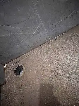 665460 online show from October 2025 10:36:02 AM