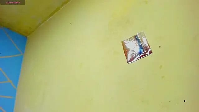 Snapshot of Paulina_new chatting on November 2025 12:12:01 AM Paulina new online show from November 2025 12:12:01 AM