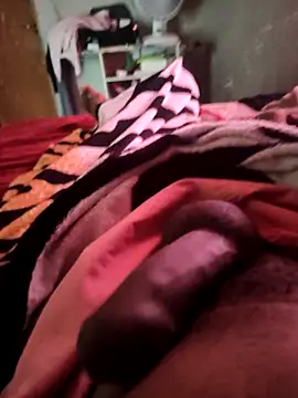 Snapshot of picadme chatting on October 2025 05:10:02 PM picadme online show from October 2025 05:10:02 PM