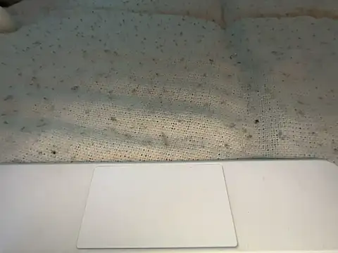 Snapshot of goddesemiiyy chatting on November 2025 06:34:02 PM goddesemiiyy online show from November 2025 06:34:02 PM