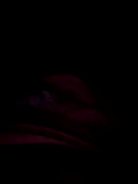 prettygirl3245 online show from November 2025 05:19:01 AM