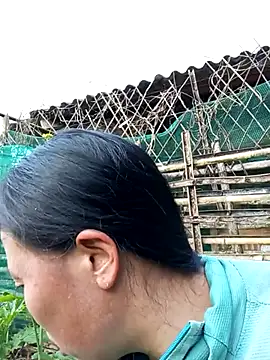 Snapshot of jerry-xx chatting on January 2026 09:57:01 AM jerry-xx online show from January 2026 09:57:01 AM