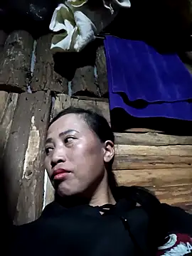 Snapshot of jerry-xx chatting on February 2026 04:54:02 AM jerry-xx online show from February 2026 04:54:02 AM