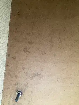 Vita6777 online show from November 2025 05:18:02 AM