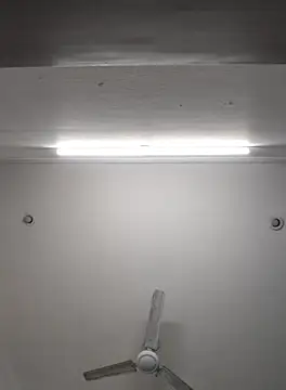 Snapshot of Anchal-8798 chatting on November 2025 06:07:01 PM Anchal-8798 online show from November 2025 06:07:01 PM