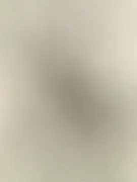 Snapshot of Anchal-8798 chatting on December 2025 06:14:01 PM Anchal-8798 online show from December 2025 06:14:01 PM