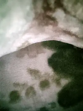 Snapshot of Anchal-8798 chatting on January 2026 05:51:02 PM Anchal-8798 online show from January 2026 05:51:02 PM