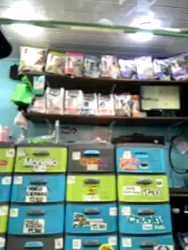 Lucy 699 online show from November 2025 07:41:02 PM